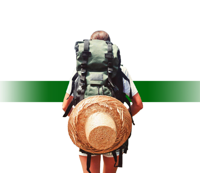 imagen de auto y celular